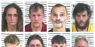 CCSO arrest roundup