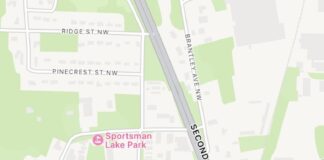 Pedestrian struck, dog killed