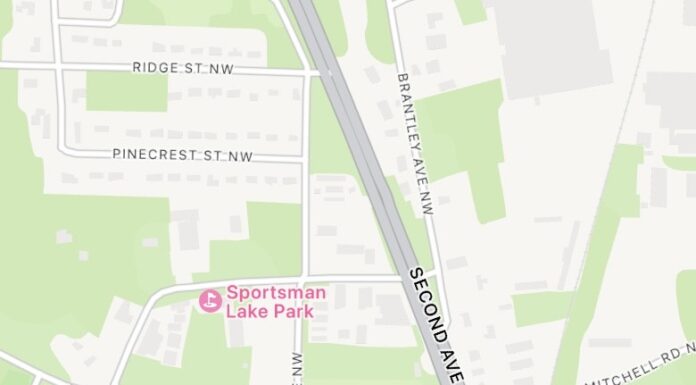 Pedestrian struck, dog killed