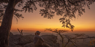 Winners of 2024 Outdoor Alabama Photo Contest announced