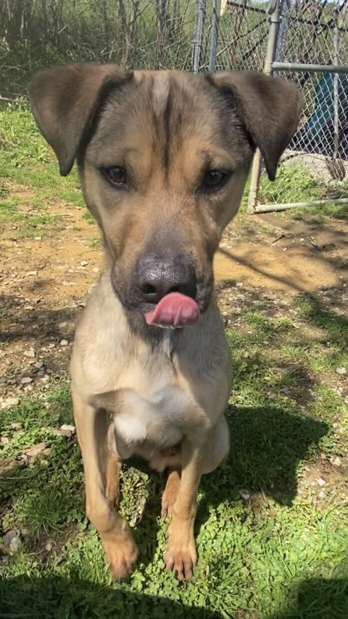 78D831E0-32DC-4397-B6AF-574E5A260046