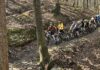 New trail opens for mountain bikers, hikers at Oak Mountain State Park
