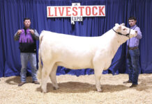 Banners, ribbons come home with local youth after Jr. Livestock Expo