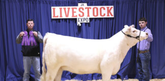 Banners, ribbons come home with local youth after Jr. Livestock Expo