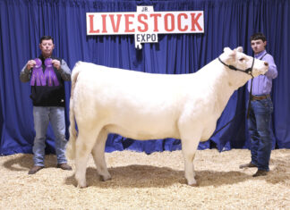 Banners, ribbons come home with local youth after Jr. Livestock Expo
