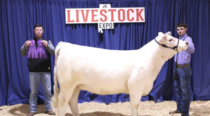Banners, ribbons come home with local youth after Jr. Livestock Expo