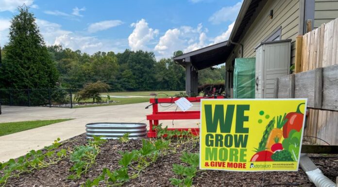 ACES: Extension’s Grow More, Give More project improving lives