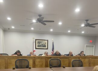Baileyton Town Council approves purchase of bucket truck, sets date for egg hunt