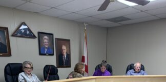 Vinemont talks planning commission, board of adjustments, murals, events