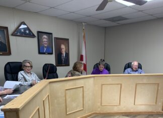 Vinemont talks planning commission, board of adjustments, murals, events