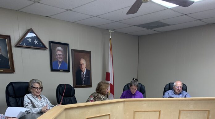 Vinemont talks planning commission, board of adjustments, murals, events