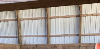 CCPS kindergarteners ‘get down on the farm’