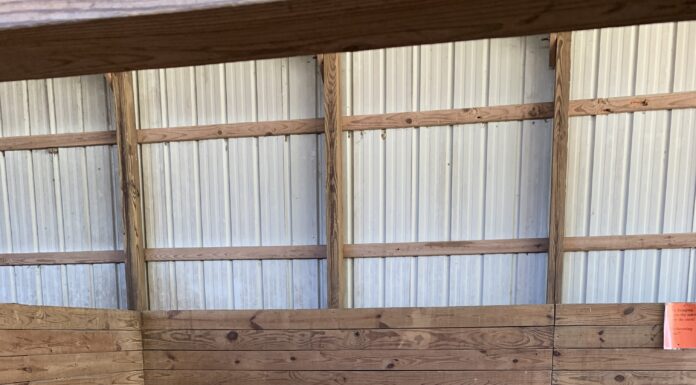 CCPS kindergarteners ‘get down on the farm’