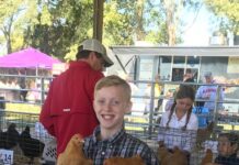 Cullman County 4-H holding signups for Cullman Chicken Project