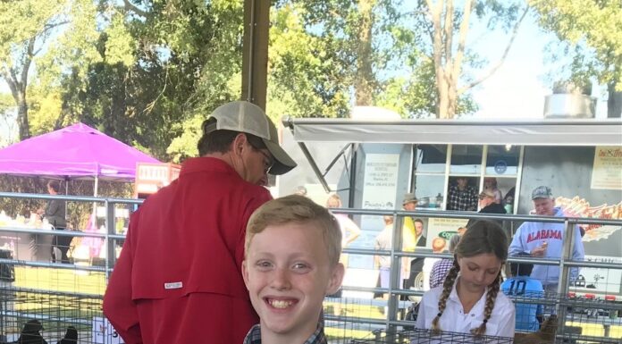 Cullman County 4-H holding signups for Cullman Chicken Project