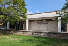 Library board appoints new assistant director