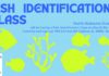North Alabama Dive Center hosting Fish Identification Class
