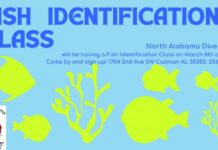 North Alabama Dive Center hosting Fish Identification Class