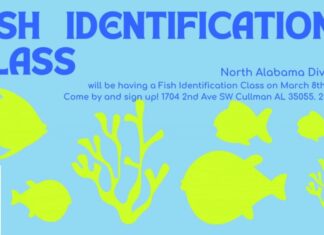 North Alabama Dive Center hosting Fish Identification Class