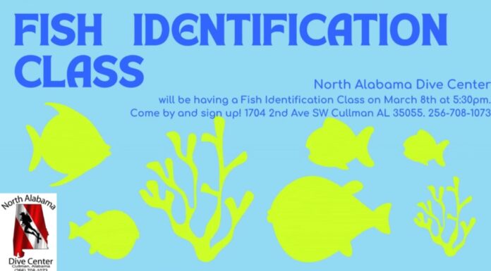 North Alabama Dive Center hosting Fish Identification Class