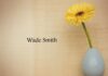 Obituary: Wade Smith