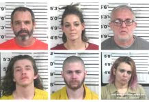 CCSO arrest roundup