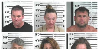 CCSO arrest roundup