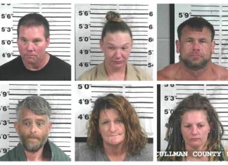 CCSO arrest roundup