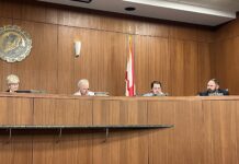 Cullman City Council paves way for new business, looks to grow 2 parks