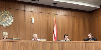 Cullman City Council paves way for new business, looks to grow 2 parks