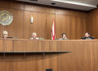 Cullman City Council paves way for new business, looks to grow 2 parks