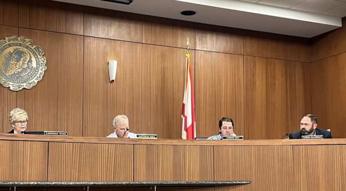 Cullman City Council paves way for new business, looks to grow 2 parks
