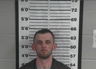 Suspect sought following Saturday pursuit Cody Weston Brown in an undated mugshot (Cullman County Sheriff’s Office)