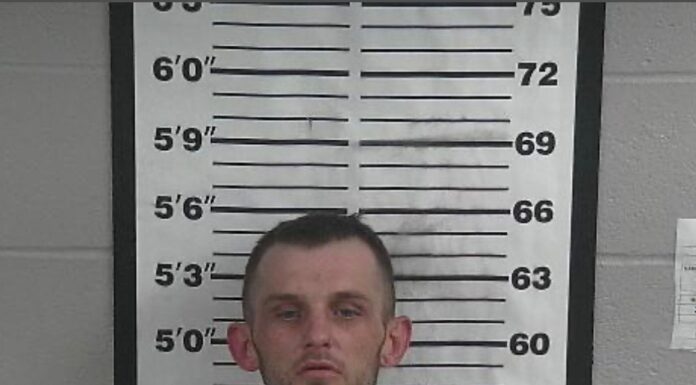 Suspect sought following Saturday pursuit Cody Weston Brown in an undated mugshot (Cullman County Sheriff’s Office)