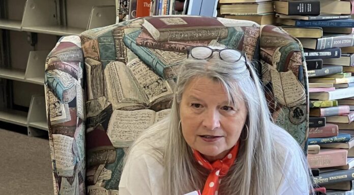 Local author Dorenda Doyle hosting Young Writers Workshop April 10