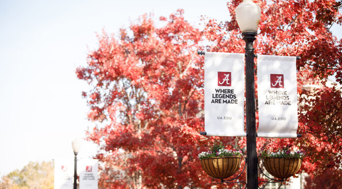 Cullman’s Alan Crisologo elected to University of Alabama SGA