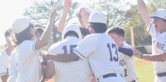 PREP BASEBALL: Arteaga walks it off in the 9th to secure 4-3 win over Good Hope, playoff berth for Hanceville