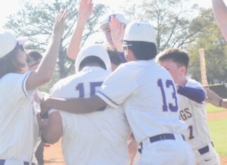 PREP BASEBALL: Arteaga walks it off in the 9th to secure 4-3 win over Good Hope, playoff berth for Hanceville