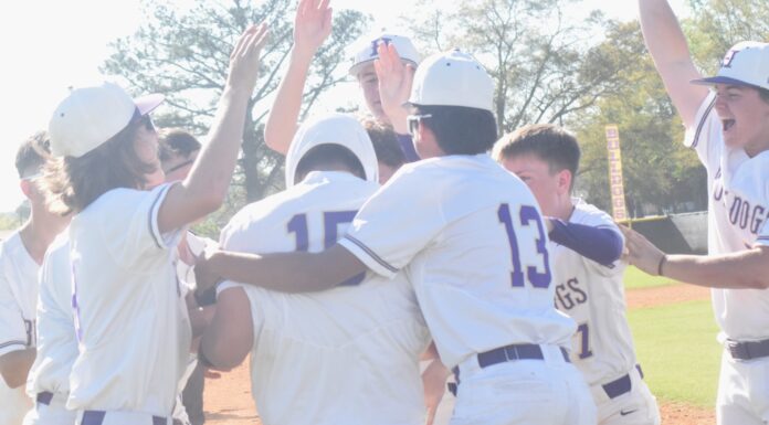 PREP BASEBALL: Arteaga walks it off in the 9th to secure 4-3 win over Good Hope, playoff berth for Hanceville
