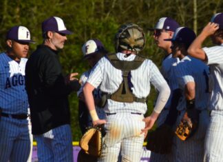 PREP BASEBALL PLAYOFFS: Fairview falls at Madison Academy