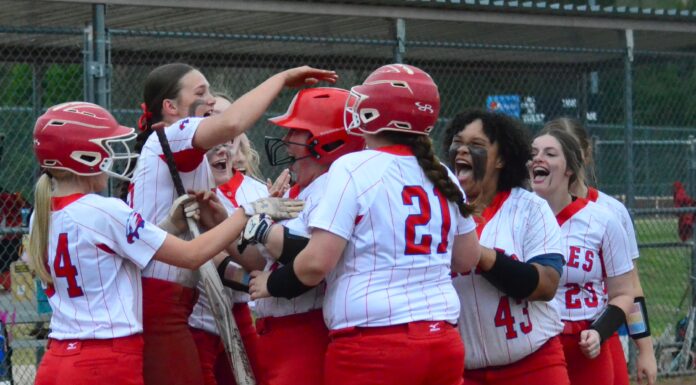 AREA SOFTBALL TOURNAMENTS: Vinemont, Cullman advance to Regionals; Good Hope eliminated