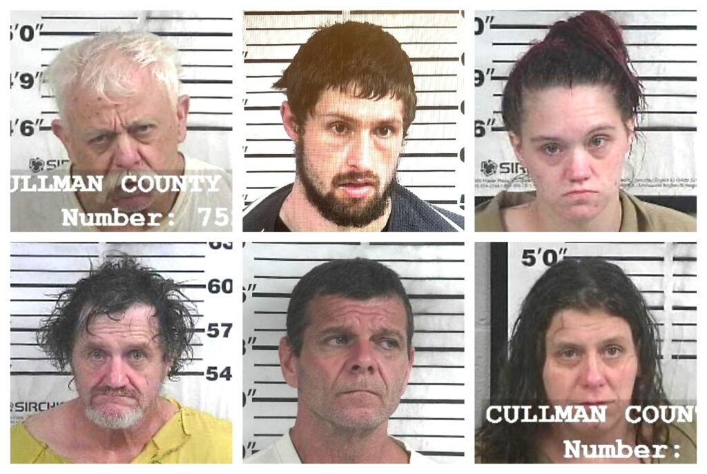 CCSO arrest roundup - The Cullman Tribune