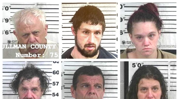 CCSO arrest roundup