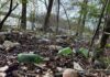 ACES: Plastics in the environment