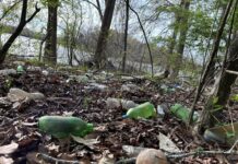 ACES: Plastics in the environment