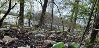 ACES: Plastics in the environment