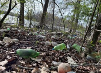 ACES: Plastics in the environment