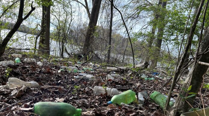 ACES: Plastics in the environment