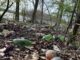 ACES: Plastics in the environment