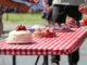 Alabama Strawberry Festival coming to Cullman May 3-4
